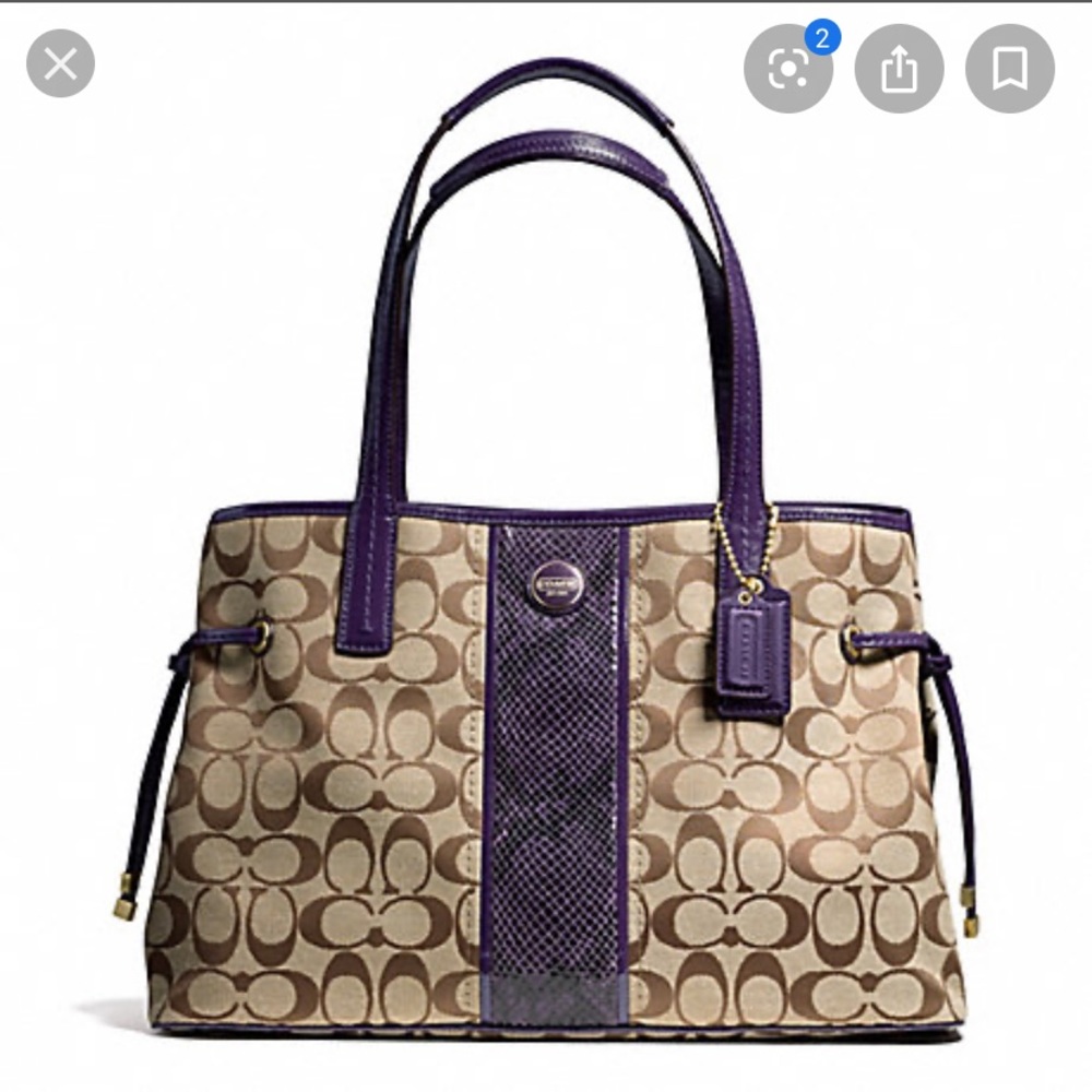 *NEW* SIGNATURE STRIPE PYTHON STRIPE CARRYALL